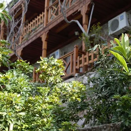 Dolphin Hotel-3