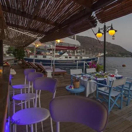 Dolphin Hotel-2